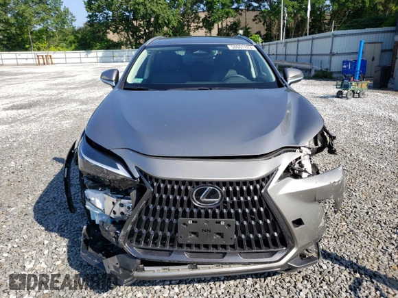 2022 Lexus NX with VIN 2T2AGCEZ1NC014751, listed as a Copart auction lot 58601123 with 4,362 mi miles. Bid and sale history available at carsss.com. Image 5.