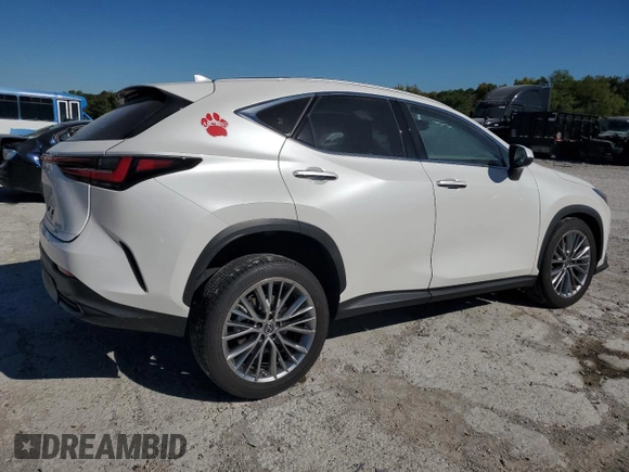 2023 Lexus NX 350h Luxury with VIN JTJHKCEZ7P2013703, listed as a Copart auction lot 74935304 with 22,069 mi miles and Salvage Title. Bid and sale history available at DreamBid. Image 3.