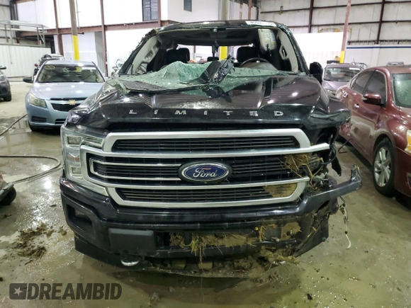 2019 Ford F-150 Limited with VIN 1FTEW1EG9KFD10194, listed as a Copart auction lot 45537115 with 68,179 mi miles and Non Repairable. Bid and sale history available at carsss.com. Image 5.