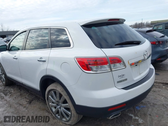 2009 Mazda CX-9 Touring with VIN JM3TB38A190174041, listed as a IAAI auction lot 41684244 with 157,140 mi miles. Bid and sale history available at carsss.com. Image 3.