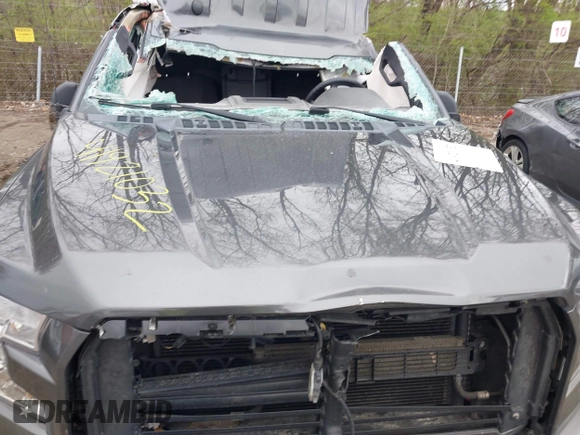 2017 Ford F-150 XL with VIN 1FTEW1EG0HFB78127, listed as a IAAI auction lot 41921032 with Not Provided miles. Bid and sale history available at carsss.com. Image 10.