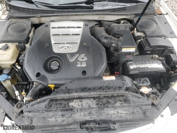 2007 Hyundai Azera SE with VIN KMHFC46F47A171001, listed as a Copart auction lot 43953835 with 217,443 mi miles and Salvage Title. Bid and sale history available at carsss.com. Image 12.