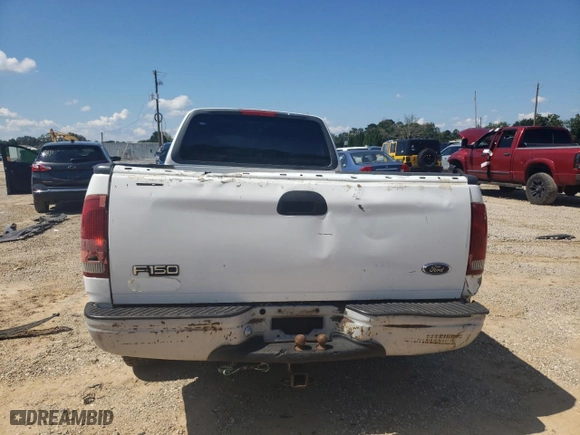 1999 Ford F-150 Work Series with VIN 1FTRX17W4XNA44647, listed as a Copart auction lot 72406314 with 300,152 mi miles and Salvage Title. Bid and sale history available at carsss.com. Image 6.