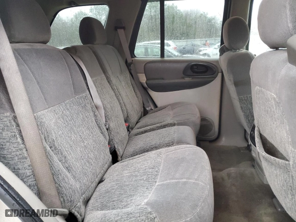 2003 Chevrolet TrailBlazer LS with VIN 1GNDS13S832166796, listed as a Copart auction lot 47487015 with 131,211 mi miles and Salvage Title. Bid and sale history available at carsss.com. Image 10.