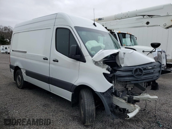 2023 Mercedes-Benz Sprinter Cargo Cargo with VIN W1Y40BHY4PT143979, listed as a Copart auction lot 49113905 with 42,295 mi miles and Salvage Title. Bid and sale history available at carsss.com. Image 4.