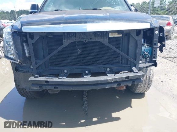 2019 Cadillac Escalade Platinum with VIN 1GYS4DKJ9KR138333, listed as a IAAI auction lot 42523430 with 104,787 mi miles and . Bid and sale history available at DreamBid. Image 6.