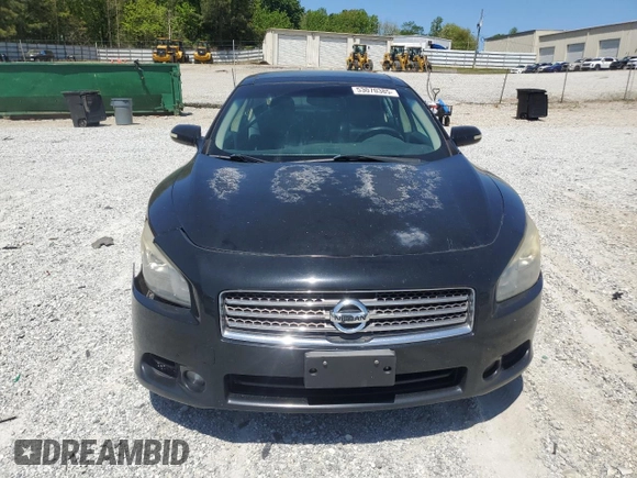 2009 Nissan Maxima SV with VIN 1N4AA51E59C819757, listed as a Copart auction lot 53070385 with 177,688 mi miles and Salvage Title. Bid and sale history available at DreamBid. Image 5.