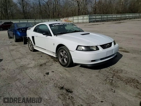 2000 Ford Mustang with VIN 1FAFP4049YF123682, listed as a Copart auction lot 53935345 with 91,683 mi miles and Salvage Title. Bid and sale history available at carsss.com. Image 13.
