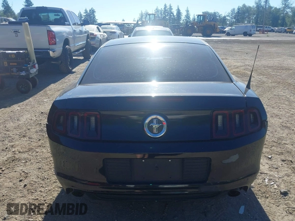 2013 Ford Mustang V6 with VIN 1ZVBP8AM3D5269846, listed as a IAAI auction lot 42460827 with 80,934 mi miles and . Bid and sale history available at DreamBid. Image 15.