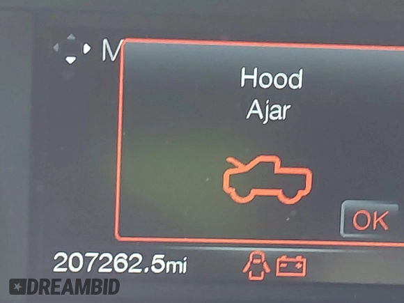 2019 Ford F-150 XL with VIN 1FTEW1CP5KKE62001, listed as a IAAI auction lot 42611277 with 207,262 mi miles and . Bid and sale history available at DreamBid. Image 15.