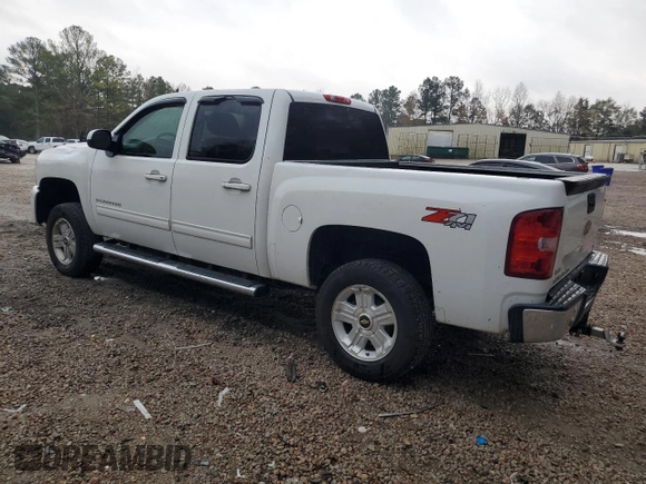 2011 Chevrolet Silverado 1500 with VIN 1GCPKTE35BF228590, listed as a Copart auction lot 81038804 with 159,053 mi miles and Salvage Title. Bid and sale history available at DreamBid. Image 2.