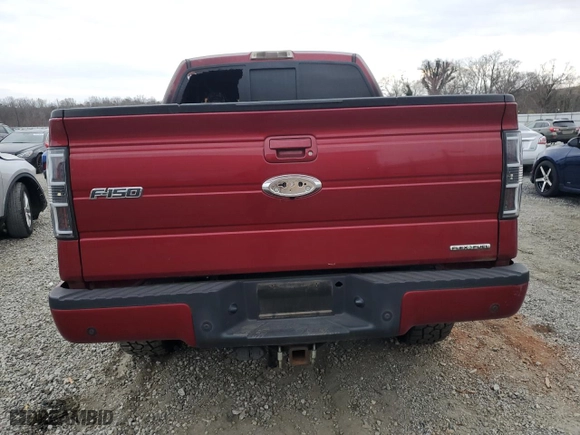 2013 Ford F-150 XL with VIN 1FTFW1EF8DFC38578, listed as a Copart auction lot 47803915 with 0 mi miles and Non Repairable. Bid and sale history available at carsss.com. Image 6.