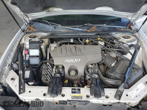 2002 Chevrolet Monte Carlo SS with VIN 2G1WX15K629320785, listed as a Copart auction lot 74295014 with 197,665 mi miles and Clean Title. Bid and sale history available at carsss.com. Image 11.
