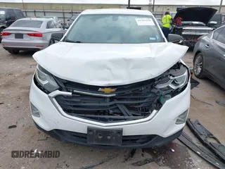 2019 Chevrolet Equinox LS with VIN 3GNAXSEV2KS628516, listed as a IAAI auction lot 41941618 with 166,174 mi miles and . Bid and sale history available at DreamBid. Image 6.