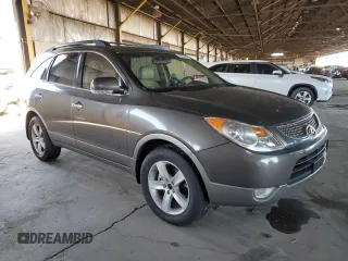 2009 Hyundai Veracruz GLS with VIN KM8NU13CX9U082813, listed as a Copart auction lot 49633575 with 183,370 mi miles and Salvage title. Bid and sale history available at DreamBid. Image 4.