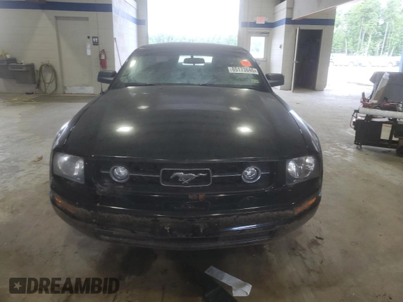 2006 Ford Mustang Standard with VIN 1ZVFT84N165110215, listed as a Copart auction lot 65173645 with 179,638 mi miles and Clean title. Bid and sale history available at DreamBid. Image 5.