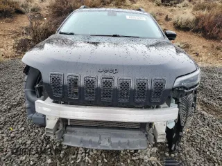 2019 Jeep Cherokee Altitude with VIN 1C4PJMLN1KD345771, listed as a Copart auction lot 48953285 with 119,719 mi miles and Salvage Title. Bid and sale history available at carsss.com. Image 5.