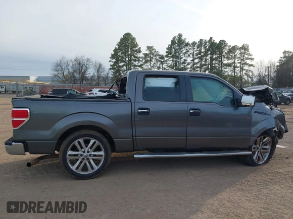 2010 Ford F-150 XL with VIN 1FTEW1C83AFC16015, listed as a IAAI auction lot 41332988 with Not Provided miles and . Bid and sale history available at DreamBid. Image 12.