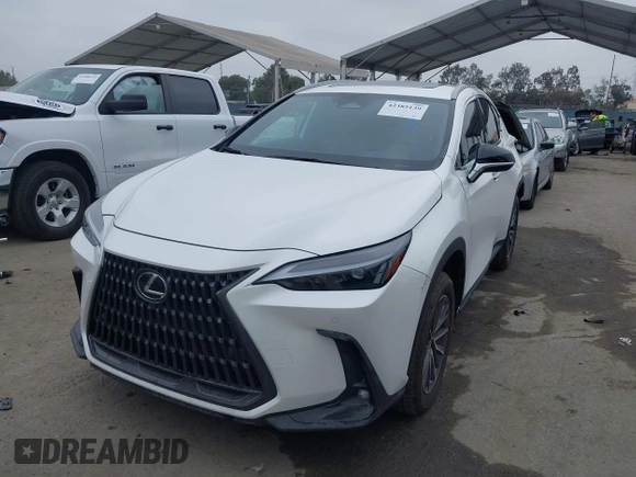 2025 Lexus NX 350 Premium with VIN JTJGGCEZ6S2023225, listed as a IAAI auction lot 42385139 with 1,590 mi miles and . Bid and sale history available at DreamBid. Image 17.