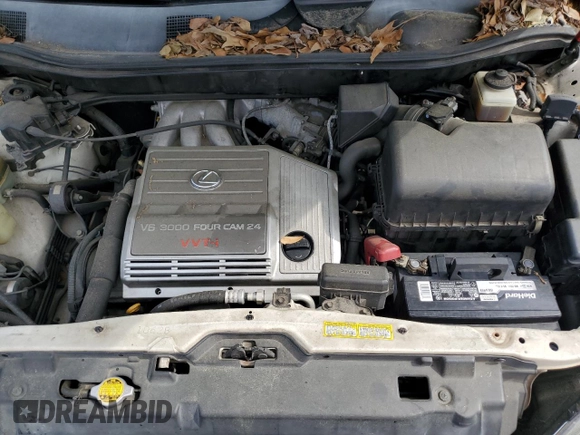 1999 Lexus RX 300 with VIN JT6HF10U7X0009824, listed as a Copart auction lot 52953135 with 180,006 mi miles and Salvage Title. Bid and sale history available at DreamBid. Image 12.