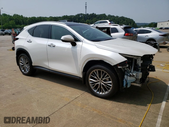 2024 Lexus NX 350h Luxury with VIN 2T2HKCEZ3RC020084, listed as a Copart auction lot 59913055 with 35,979 mi miles and Salvage title. Bid and sale history available at DreamBid. Image 4.