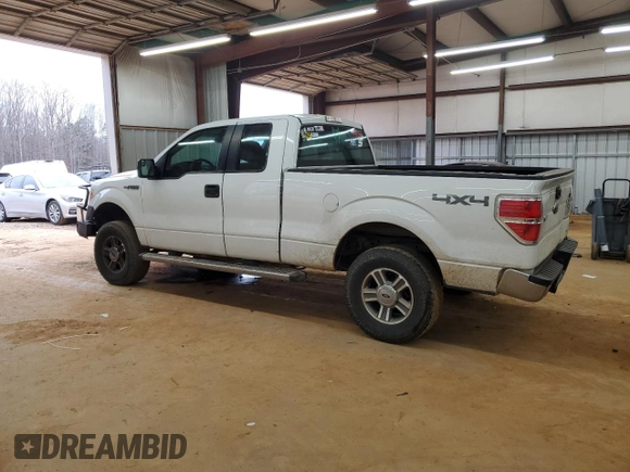 2013 Ford F-150 XL with VIN 1FTFX1EF9DFA16015, listed as a Copart auction lot 46990295 with 244,997 mi miles and Salvage Title. Bid and sale history available at carsss.com. Image 2.