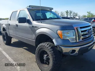 2010 Ford F-150 XL with VIN 1FTEW1E80AFA43583, listed as a IAAI auction lot 42128735 with 139,654 mi miles and . Bid and sale history available at DreamBid. Image 1.