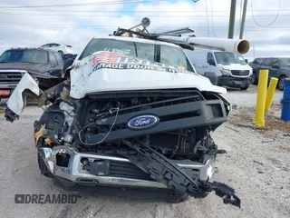 2019 Ford F-150 XL with VIN 1FTEW1CB9KFD18349, listed as a IAAI auction lot 41261246 with Not Provided miles and . Bid and sale history available at DreamBid. Image 12.