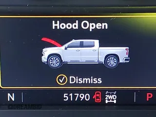 2021 Chevrolet Silverado 1500 LT Trail Boss with VIN 1GCPYFEL0MZ287029, listed as a IAAI auction lot 40706839 with 51,790 mi miles and . Bid and sale history available at DreamBid. Image 15.