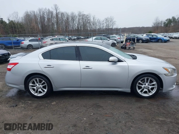 2009 Nissan Maxima SV with VIN 1N4AA51E19C842517, listed as a IAAI auction lot 41534246 with 278,067 mi miles and . Bid and sale history available at DreamBid. Image 13.