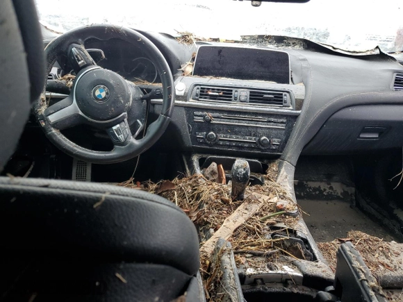 2016 BMW 6 Series 640i with VIN WBA6D0C56GG432774, listed as a Copart auction lot 73964134 with 0 mi miles and Salvage Title. Bid and sale history available at carsss.com. Image 8.