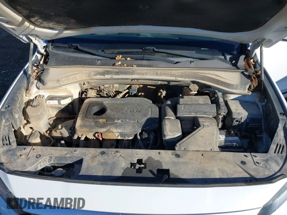 2019 Hyundai Santa Fe SE with VIN 5NMS2CAD2KH020288, listed as a IAAI auction lot 41398304 with 136,693 mi miles and . Bid and sale history available at DreamBid. Image 10.