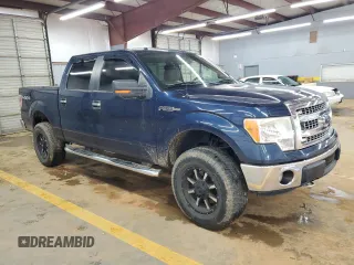 2013 Ford F-150 XL z VIN 1FTFW1EF0DFA65008, wystawiony jako Copart lot #59681325 z przebiegiem 159 354 mil mil oraz Szkoda całkowita • Salvage title. Historia ofert i sprzedaży dostępna na DreamBid. Obrazek 4.