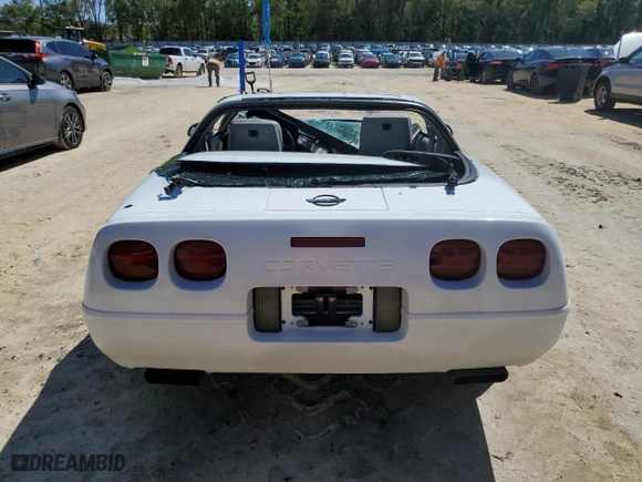 1992 Chevrolet Corvette with VIN 1G1YY23P6N5110277, listed as a Copart auction lot 48866515 with 52,353 mi miles and Salvage Title. Bid and sale history available at carsss.com. Image 10.