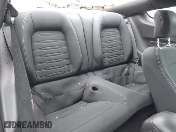 2017 Ford Mustang EcoBoost with VIN 1FA6P8TH5H5219983, listed as a IAAI auction lot 42161797 with 100,423 mi miles and . Bid and sale history available at DreamBid. Image 8.