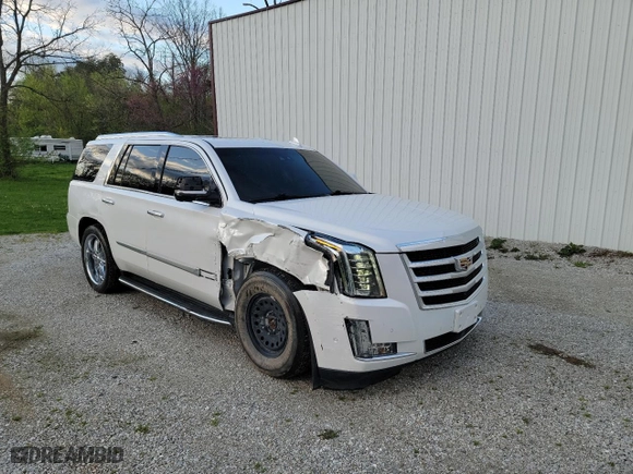 2019 Cadillac Escalade Premium Luxury with VIN 1GYS4CKJ6KR175673, listed as a Copart auction lot 52458295 with 82,761 mi miles and Clean Title. Bid and sale history available at carsss.com. Image 1.