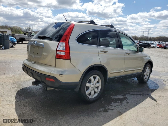 2008 Honda CR-V EX-L with VIN JHLRE48718C066765, listed as a Copart auction lot 49251535 with 84,924 mi miles and Salvage Title. Bid and sale history available at carsss.com. Image 3.