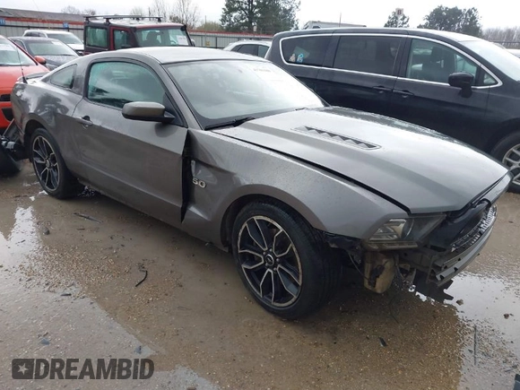 2013 Ford Mustang GT with VIN 1ZVBP8CFXD5252251, listed as a IAAI auction lot 41701508 with 171,781 mi miles. Bid and sale history available at carsss.com. Image 1.