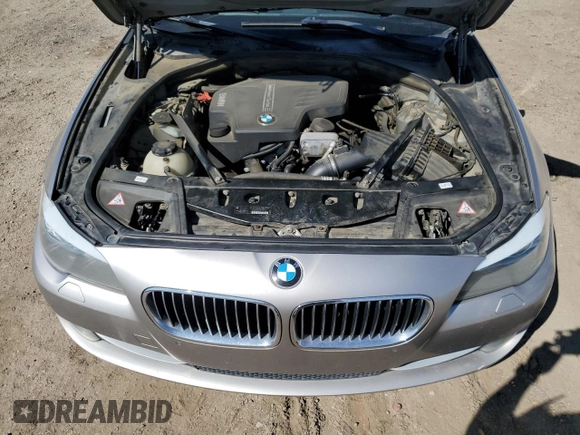 2013 BMW 5 Series 528i with VIN WBAXG5C54DD229520, listed as a Copart auction lot 49254295 with 161,348 mi miles and Salvage Title. Bid and sale history available at carsss.com. Image 11.