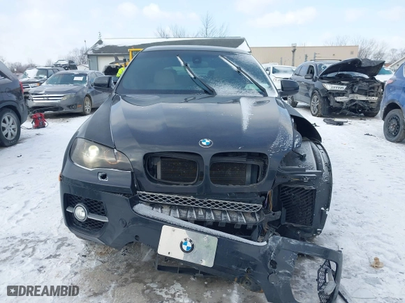 2010 BMW X6 50i with VIN 5UXFG8C55ALZ94803, listed as a IAAI auction lot 41387175 with 114,426 mi miles. Bid and sale history available at carsss.com. Image 12.
