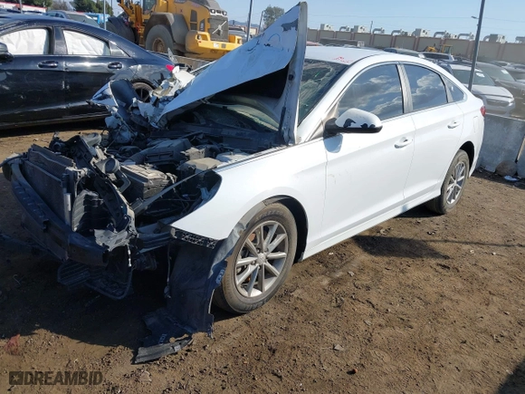 2019 Hyundai Sonata SE with VIN 5NPE24AF3KH738066, listed as a IAAI auction lot 41568251 with 100,688 mi miles. Bid and sale history available at carsss.com. Image 19.