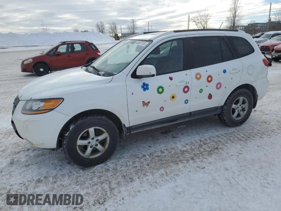 2009 Hyundai Santa Fe GL with VIN 5NMSG13E99H318861, listed as a Copart auction lot 46081195 with 294,793 mi miles and Clean title. Bid and sale history available at DreamBid. Image 1.