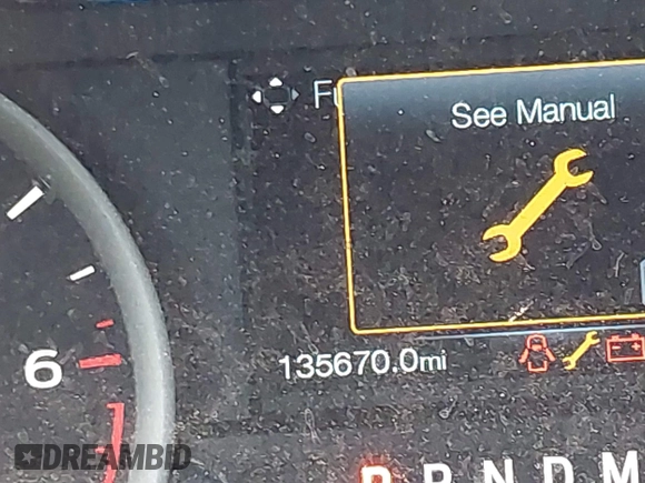 2017 Ford F-150 XL with VIN 1FTEX1CF3HKC23351, listed as a IAAI auction lot 40623873 with 135,670 mi miles. Bid and sale history available at carsss.com. Image 16.