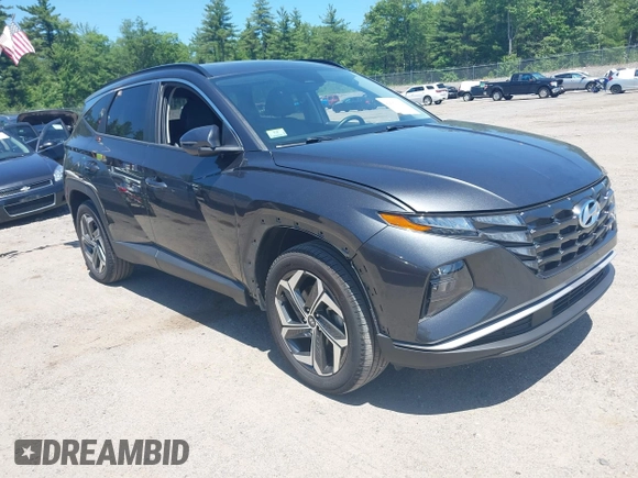 2023 Hyundai Tucson SEL with VIN 5NMJFCAE0PH199415, listed as a IAAI auction lot 42581112 with 29,752 mi miles and . Bid and sale history available at DreamBid. Image 1.