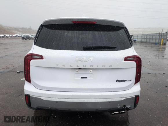 2023 Kia Telluride S with VIN 5XYP6DGCXPG358814, listed as a Copart auction lot 53820505 with 10,329 mi miles and Salvage Title. Bid and sale history available at carsss.com. Image 6.