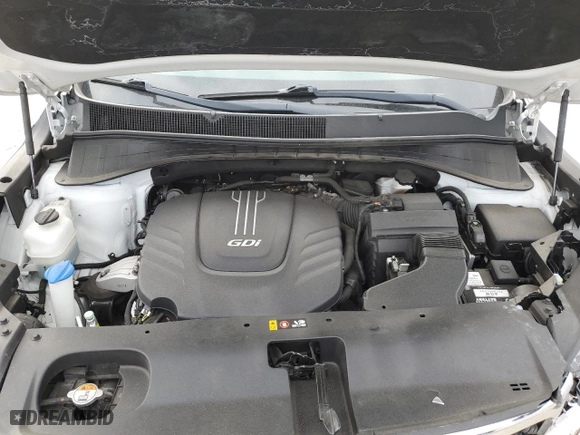 2017 Kia Sorento LX V6 with VIN 5XYPG4A57HG194298, listed as a Copart auction lot 48963215 with 117,738 mi miles and Salvage Title. Bid and sale history available at carsss.com. Image 12.