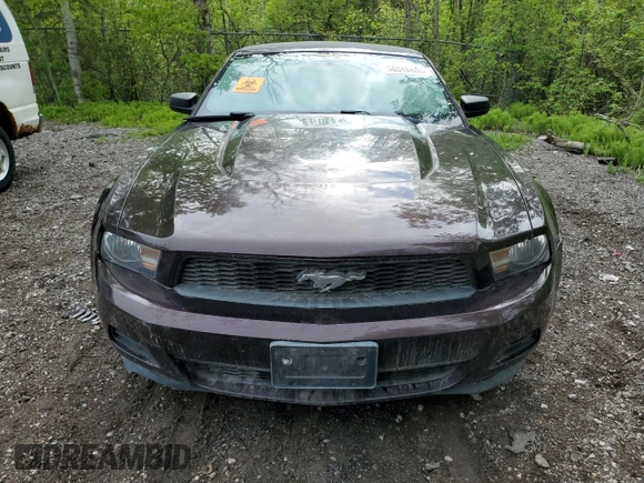 2011 Ford Mustang V6 with VIN 1ZVBP8EM8B5129301, listed as a Copart auction lot 56668885 with Not provided miles and Non repairable. Bid and sale history available at DreamBid. Image 5.