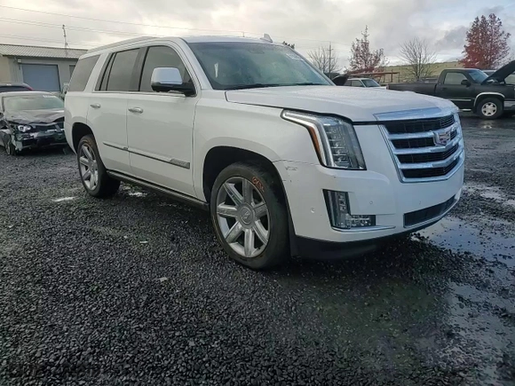 2018 Cadillac Escalade Premium Luxury with VIN 1GYS4CKJXJR243584, listed as a Copart auction lot 81556924 with 0 mi miles and Salvage Title. Bid and sale history available at carsss.com. Image 12.
