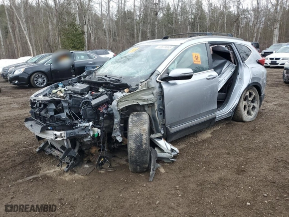 2017 Honda CR-V Touring with VIN 2HKRW2H91HH120151, listed as a Copart auction lot 48673665 with 0 mi miles and Salvage Title. Bid and sale history available at carsss.com. Image 1.