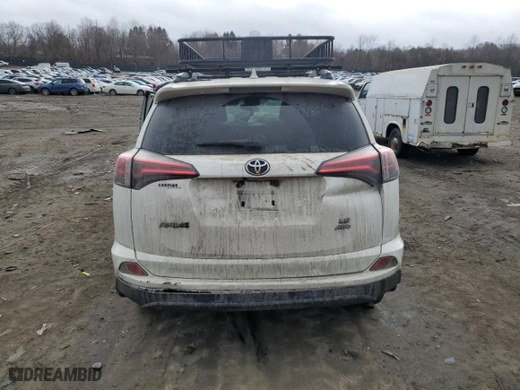 2017 Toyota RAV4 LE with VIN JTMBFREV3HJ106299, listed as a Copart auction lot 47746635 with 0 mi miles and Salvage Title. Bid and sale history available at carsss.com. Image 6.